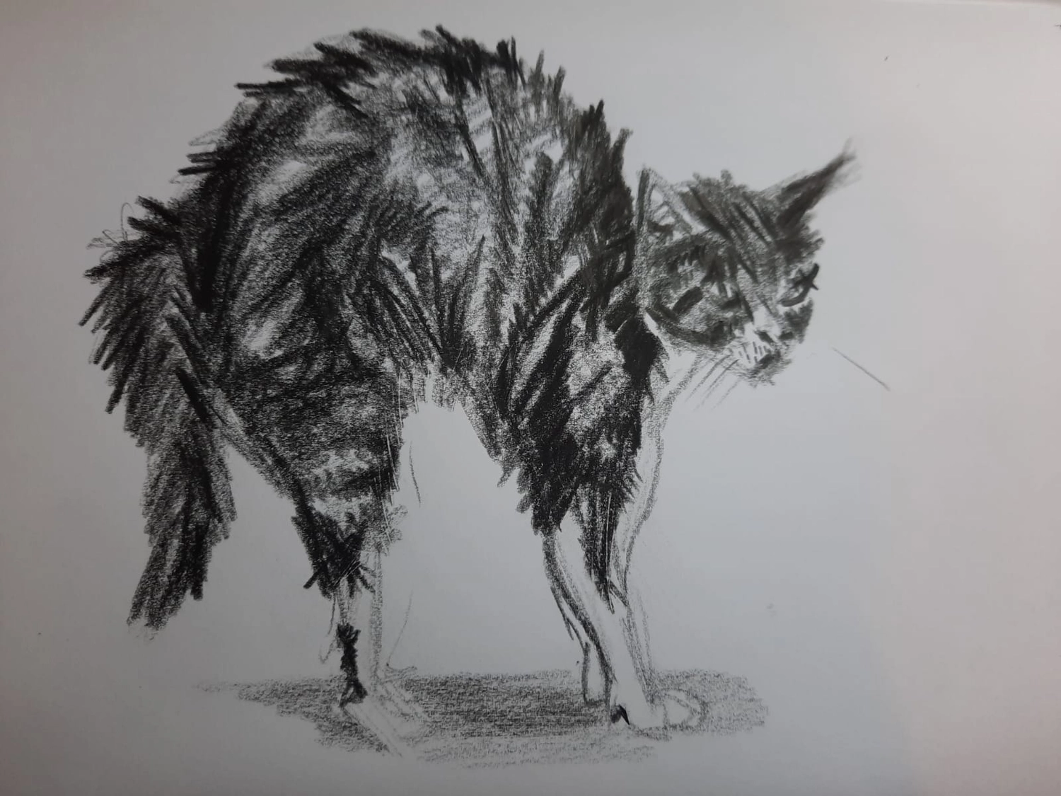 Annette Deutsch - Malerei - Tiere